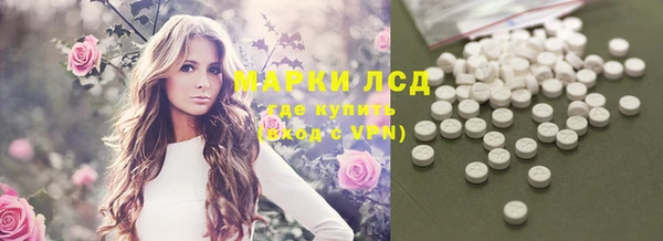 ECSTASY Белокуриха