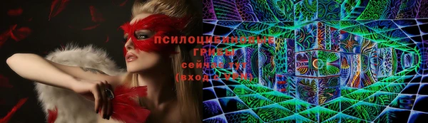 соль ск Беломорск