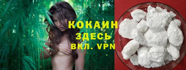крисы Белоозёрский