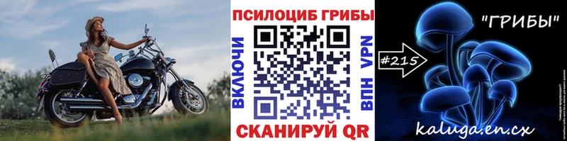 Псилоцибиновые грибы ЛСД  как найти   mega маркетплейс  Болохово 